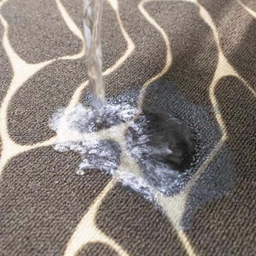 Visor impermeável de tapete de porta impresso em veludo circular