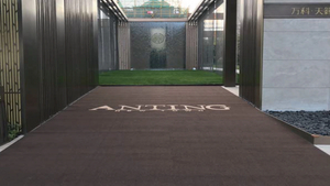 Tapete de veludo com corte de logotipo personalizável, parte traseira antiderrapante em PVC, carpete totalmente coberto para escritório comercial